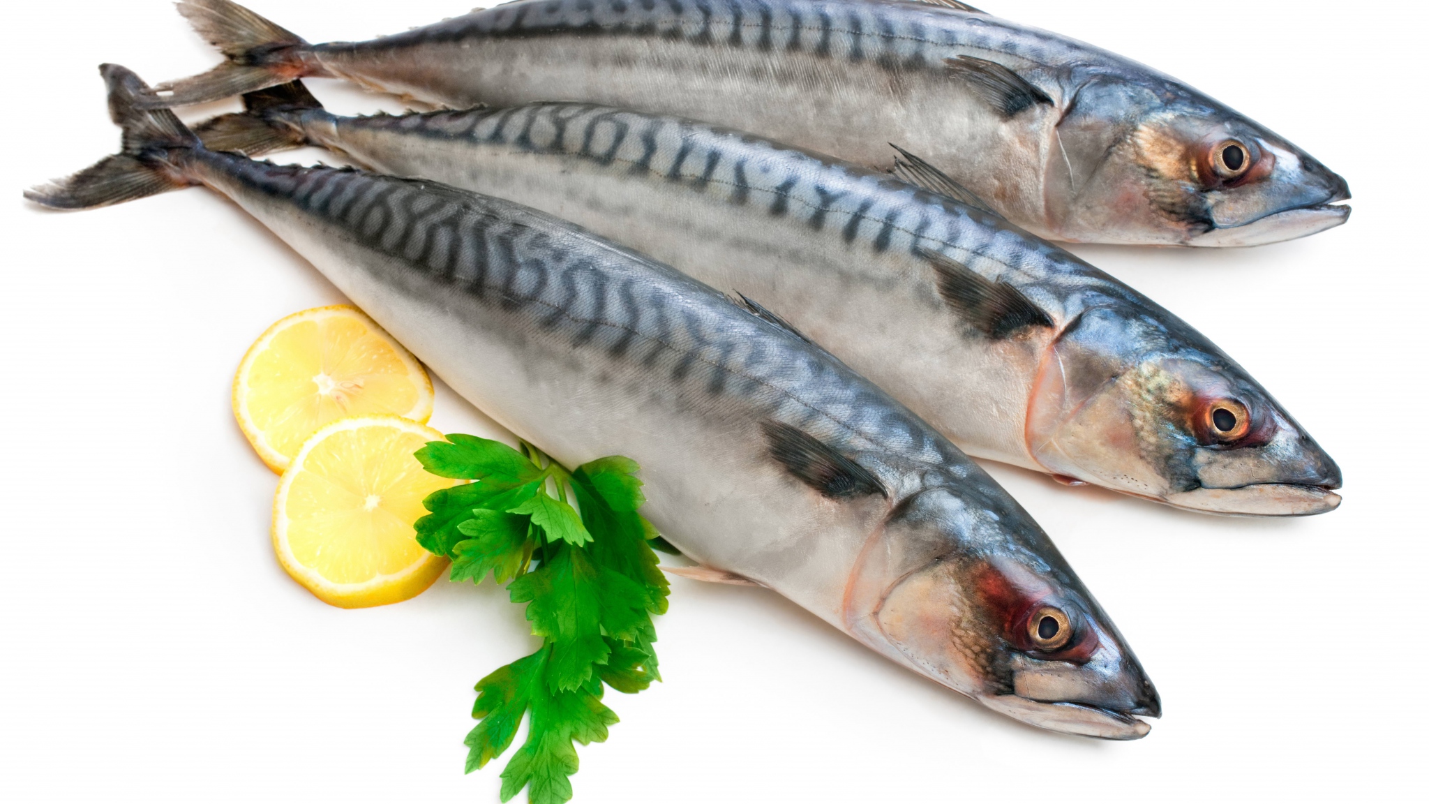 Cá thu có hàm lượng omega-3 rất cao