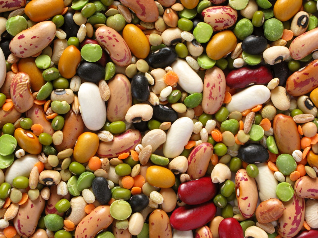Các loại đậu có chứa rất nhiều hàm lượng protein